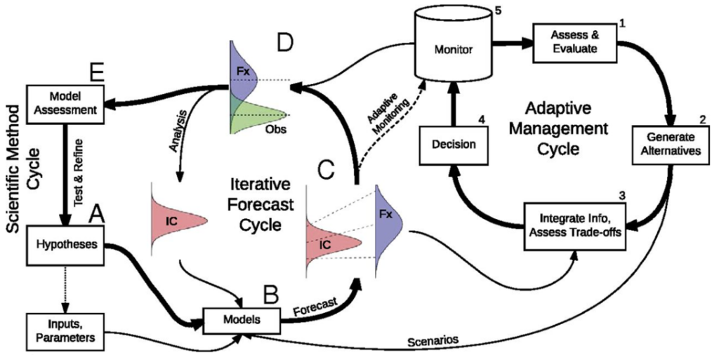 PDF) Ciencia Plurilingüe: Estrategias para el Futuro